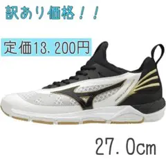 2025年最新】[ミズノ] バレーボールシューズ ウエーブルミナスの
