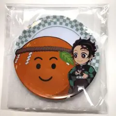 鬼滅の刃　サントリー　メラミンプレート　竈門炭治郎　当選品　非売品　なっちゃん