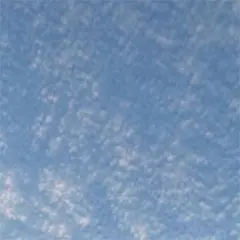 専用