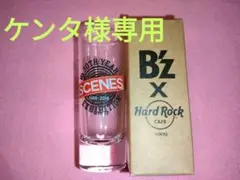 Item thumbnail for item 4bc5b571-0428-4a67-a22e-22a1ccac03ae