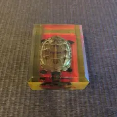 亀 文鎮 中国