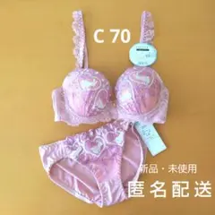 ソフトワイヤー ブラジャー ショーツ 上下セット C70 刺繍 うさぎ レース
