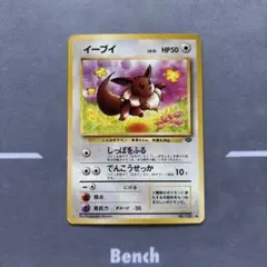 旧裏　イーブイ ● 第2弾拡張パック ポケモンジャングル