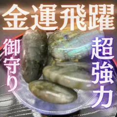 Item thumbnail for item f37dceb3-d2c4-40df-b8b3-24e4f916b151