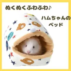 Item thumbnail for item b6aa16e8-7f5a-4bd8-b775-64900ce67bcd