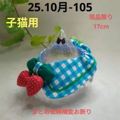Item thumbnail for item 63f7e55d-536b-4c38-83f7-441a7385aa08