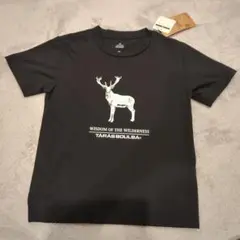 Item thumbnail for item dad3fb9a-a9e3-4091-b603-236f44fd43aa