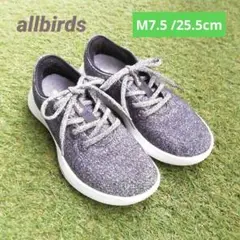 allbirds　メンズ　M7.5　ウールランナー　ゴー　オールバーズ