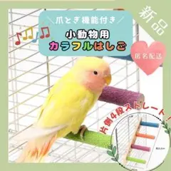 Item thumbnail for item a784523a-ad18-4d97-ae90-551bef518cdb