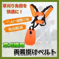 Item thumbnail for item 0afe53df-97ee-4121-b171-c975f3c526b5