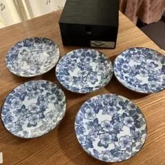 新品　有田焼　記幸窯　和皿揃　山茶花　彩