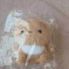 くま ぬいぐるみ