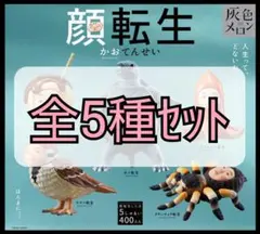 【新品未開封】灰色メロン 顔転生 全5種セット