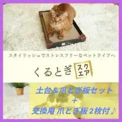 Item thumbnail for item a95306fb-0800-44a9-b1c2-5acaa717cef6