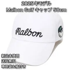 Item thumbnail for item 88af4d66-e7b8-4f64-b3b3-bdded4a069af