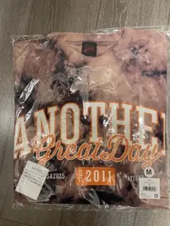 【新品Mサイズ】LiSA 2025年 フェスグッズ タイダイTシャツ