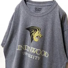 ギルダン リンデンウッド大学ワンロアー ロゴ Tシャツ グレー灰色 L 古着