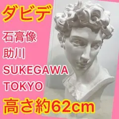 良品 SUKEGAWA-TOKYO アグリッパ 石膏像 デッサン 胸像 彫刻 AGPIPPA アグリッパ 石膏像 胸像 デッサン 彫刻 アンティーク