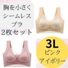 胸を小さく見せるブラ　ナイトブラ　ノンワイヤー　背中スッキリ　シームレス3L暖色