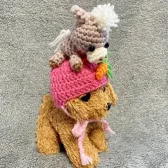 2026年午年♥馬の帽子♥小型犬用帽子・猫用帽子♥馬のあみぐるみ