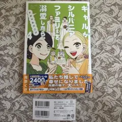 【値下日曜まで】ギャルがシルバニアファミリーを溺愛したら。#ギャルバニア(4)