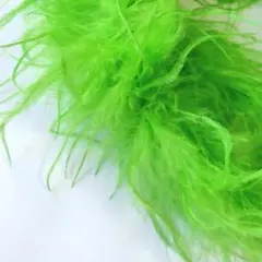 1PLY*B品 オーストリッチ きみどり 黄緑 フロート 羽毛　羽根 社交ダンス