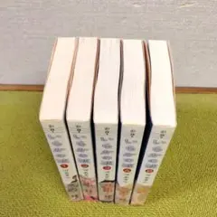 いらかの波　 文庫版　全5巻セット