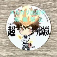 非売品 ボンフェス2017 店舗限定 シール ステッカー 沢田綱吉 リボーン