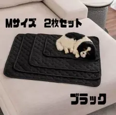 Item thumbnail for item fffb78cc-40f4-4e0e-a03a-623b0100e0ea