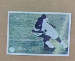 美品 Pele ペレ 1970 ERREGE シール sticker