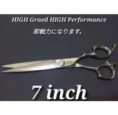Item thumbnail for item 3a4da313-c451-4bbf-9b16-9dc649f41ae7