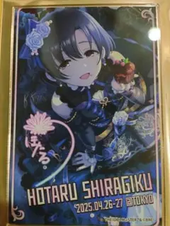 デレマス 東京公演 開催記念 クリアカード　白菊ほたる