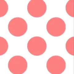 おもち様専用