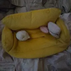 すみっコぐらしのテイシュカバー
