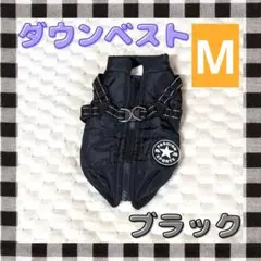 Item thumbnail for item c0a97050-4da0-4f53-8bfa-3a4bba3c05e6