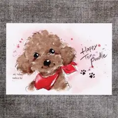 イラスト 原画 ポストカード 絵 【トイプードル】122
