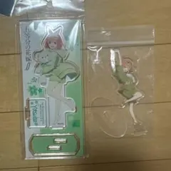 中野四葉 アクスタ