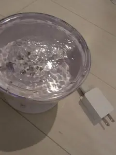 オーロラのライト　水辺が味わえます