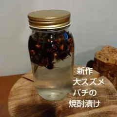 シンゴさん専用21年物スズメバチの焼酎漬け1.8L 平成17年10月 2025年最新】スズメバチ焼酎漬けの人気アイテム - メルカリ