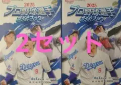 Item thumbnail for item b1b0b43a-4c92-4e9c-9be9-600a84801e2f