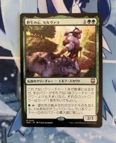セルヴァラ　日本語　1枚　①