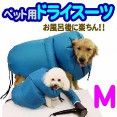 Item thumbnail for item 108e294e-f188-4b84-bfd6-158cf27c658a