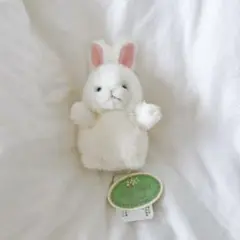 TAKENOKO うさぎ