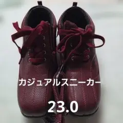 Item thumbnail for item 2c49b78c-29fa-4215-8d42-fafd9ff613c0