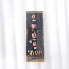 阪神タイガース 大山悠輔 フォトグレイ