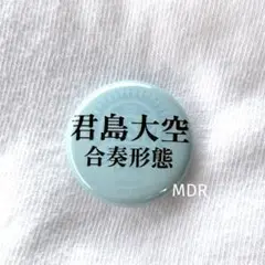 【匿名配送】君島大空 合奏形態 ガチャガチャ缶バッジ RSR25 ライジングサン