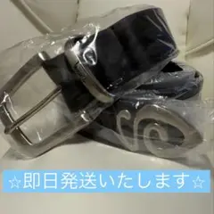 ⭐︎新品未使用⭐︎ stussy ステューシー　バックルロゴ　黒　レザーベルト