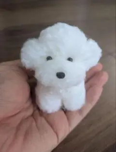 手乗りわんこ　マルチーズ　全身