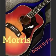 美品カントリーしようぜ！by Gibson モーリスハミングバードWDエレアコ 美品カントリーしようぜ！by Gibson モーリスハミングバードWD