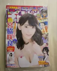 少年チャンピオン2016年5月5日 21号 宮脇咲良 未開封未使用